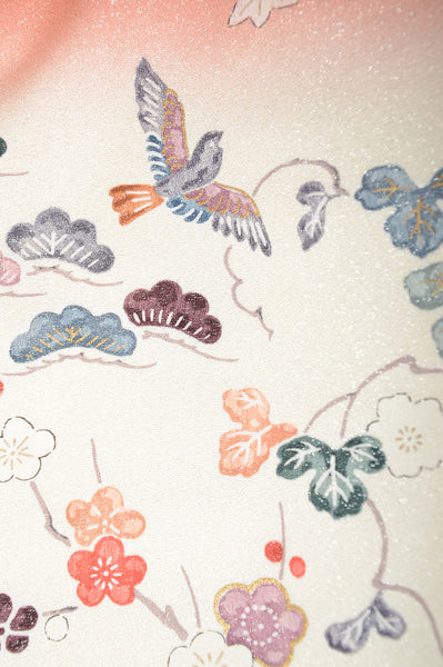 Japanese kimono 6 items set / TK #1338