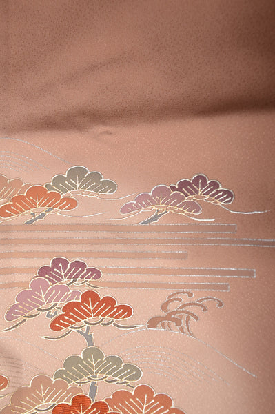 Japanese kimono 6 items set / TK #1345