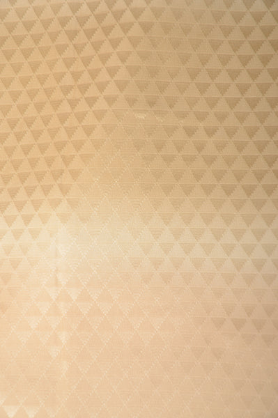 Women Undergarment / UF #252