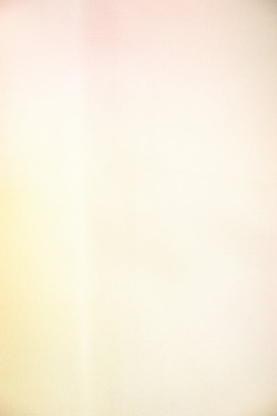 Japanese kimono / TK #1-423