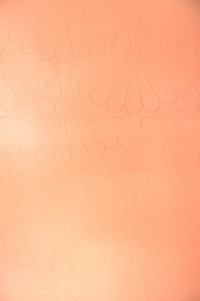 Japanese kimono / PK #316