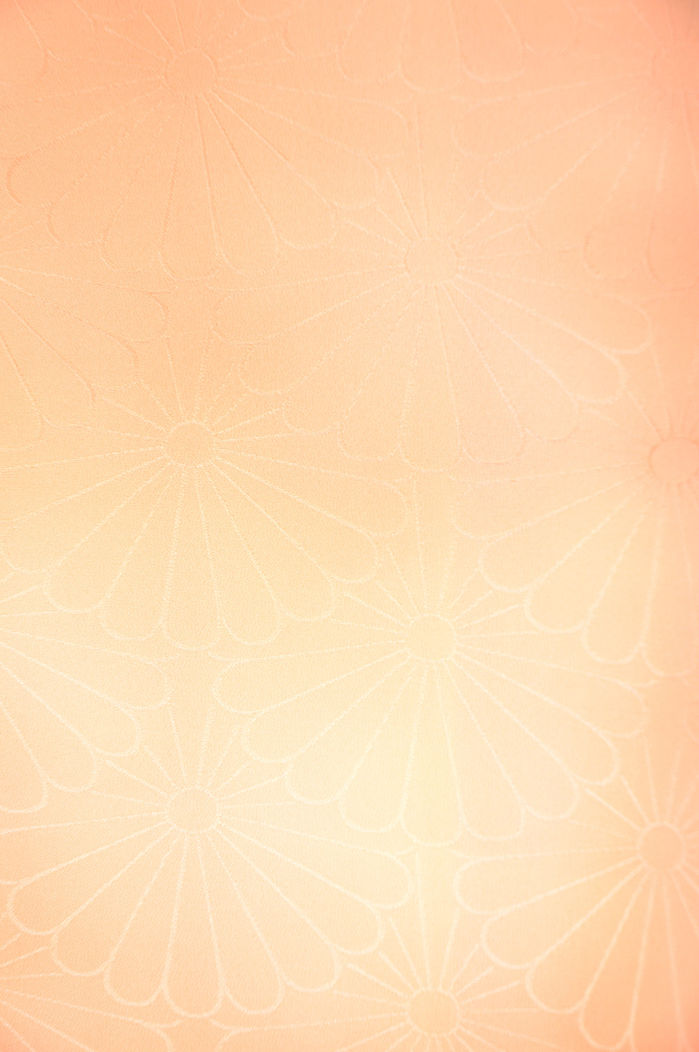 Japanese kimono / PK #316