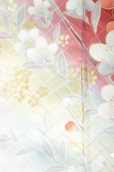 Long-sleeved kimono 6 items set / Furisode / FK#1130
