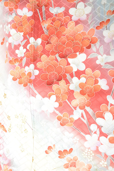 Long-sleeved kimono 6 items set / Furisode / FK#1130