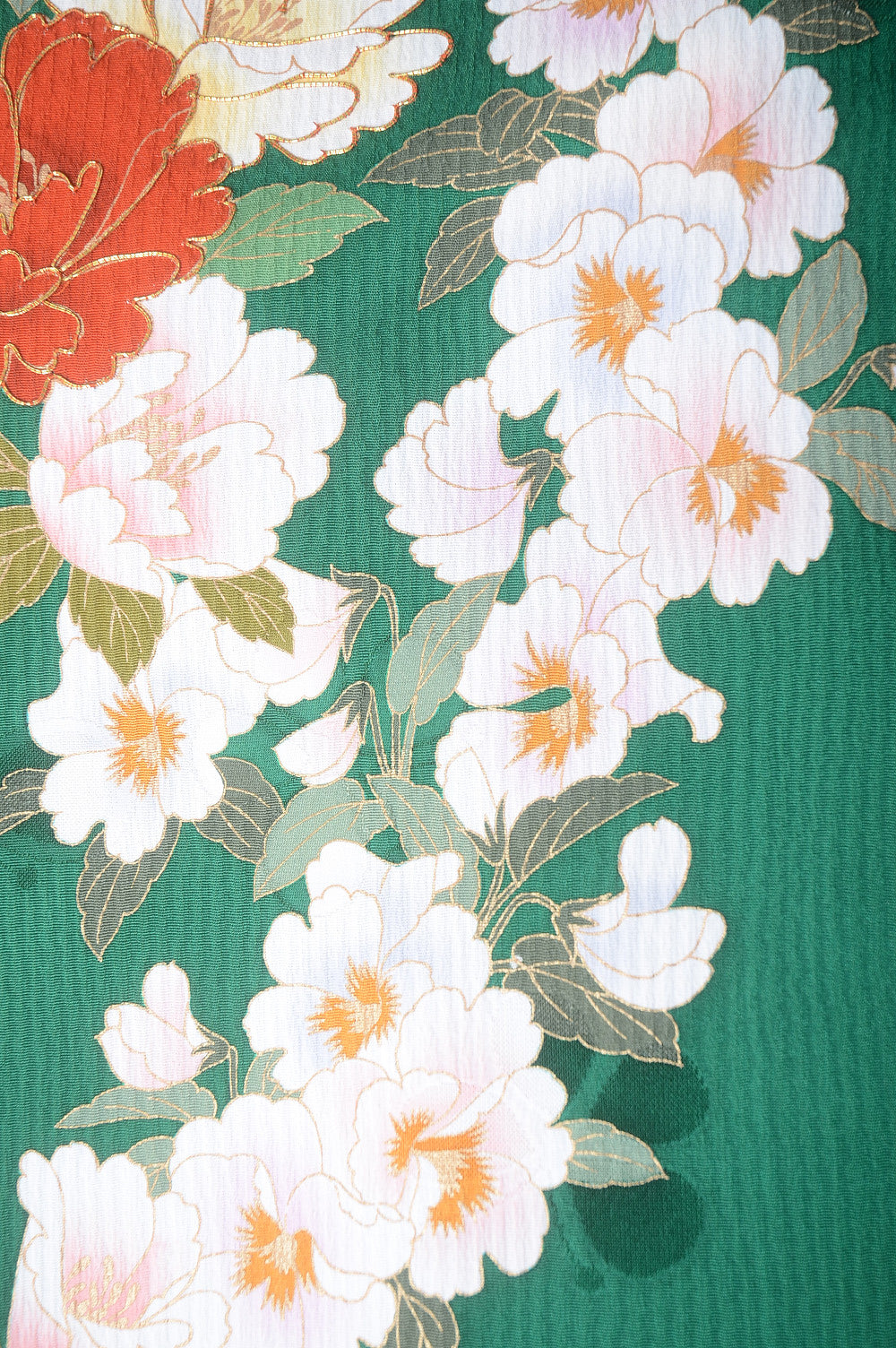 Long-sleeved kimono 6 items set / Furisode / FK#1-303