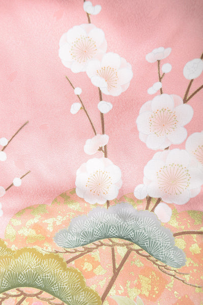 Long-sleeved kimono 6 items set / Furisode / FK#1-304