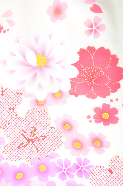 Long-sleeved kimono 6 items set / Furisode / FK#1-306