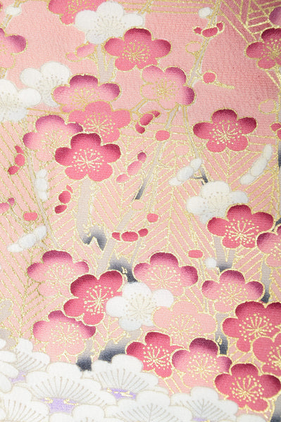 Japanese kimono / TK #818