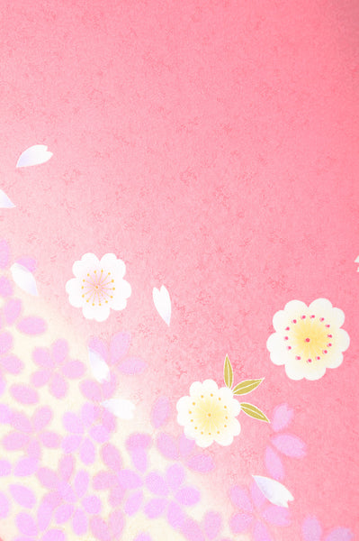 Japanese kimono / TK #927