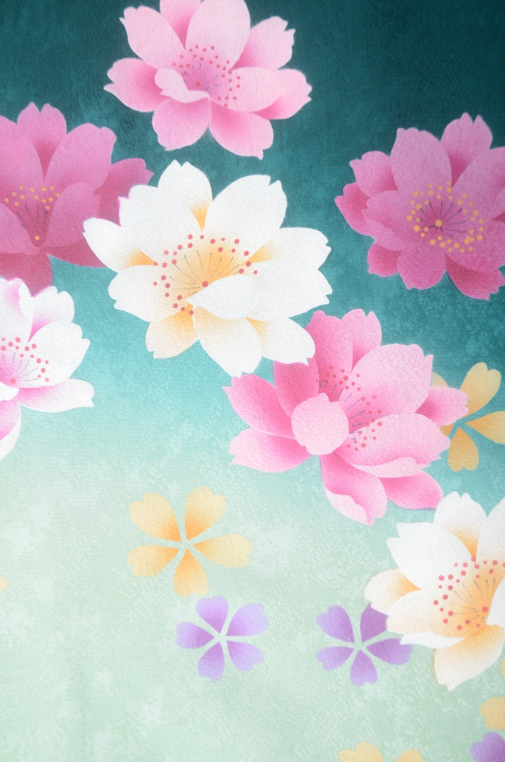 Japanese kimono 6 items set / TK #1-922