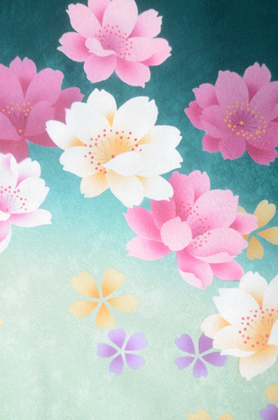 Japanese kimono 6 items set / TK #1-922