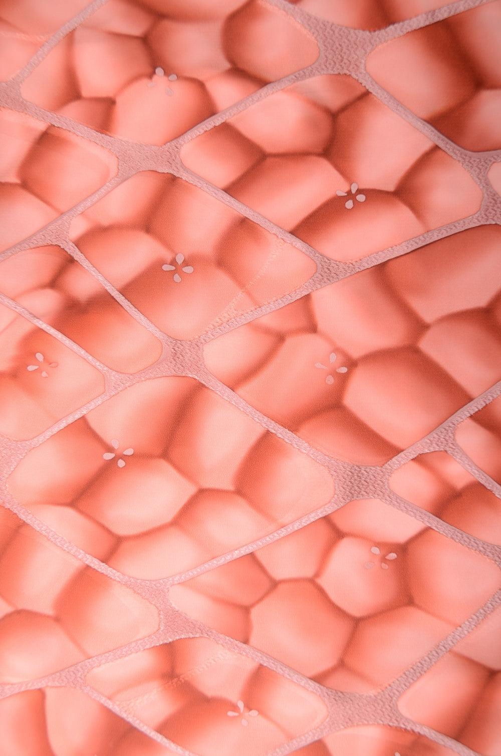 Women kimono jacket / W-Ha #1-803