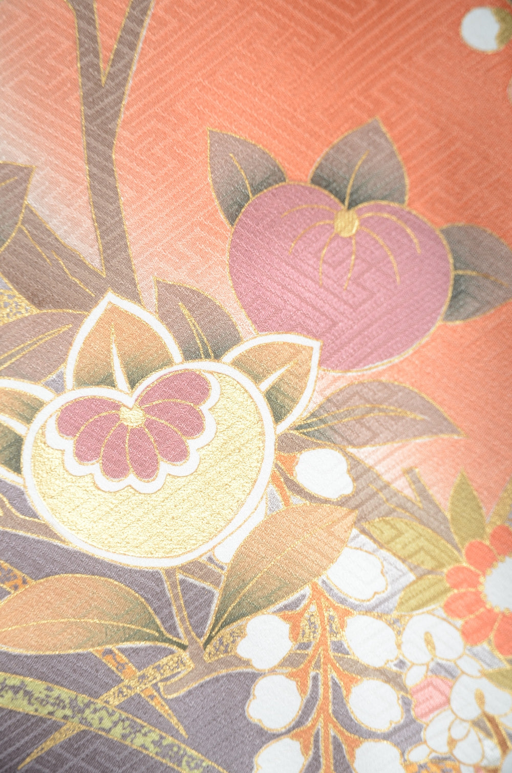 Long-sleeved kimono 6 items set / Furisode / FK#1-731