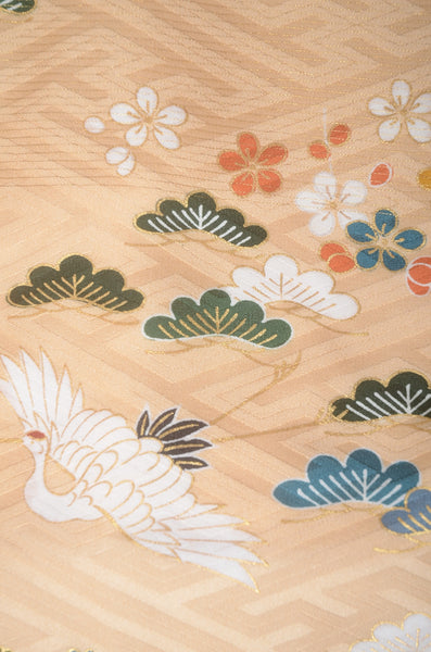 Long-sleeved kimono 6 items set / Furisode / FK#1-738