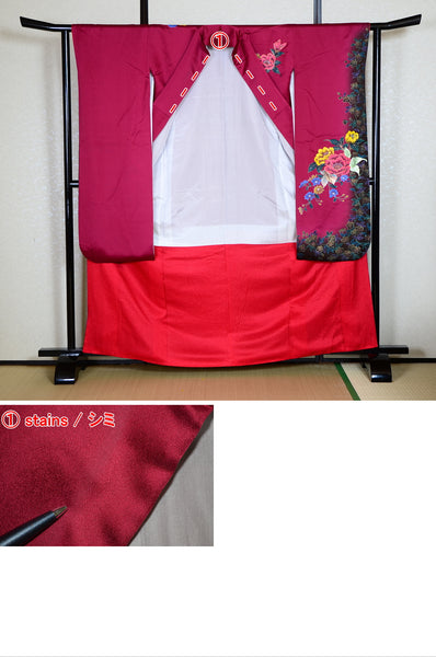 Long-sleeved kimono / Furisode / FK#1-450