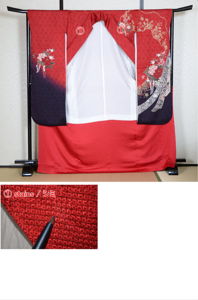 Long-sleeved kimono 6 items set / Furisode / FK#1-577