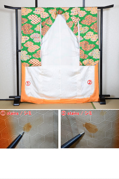 Long-sleeved kimono / Furisode / FK#1-799