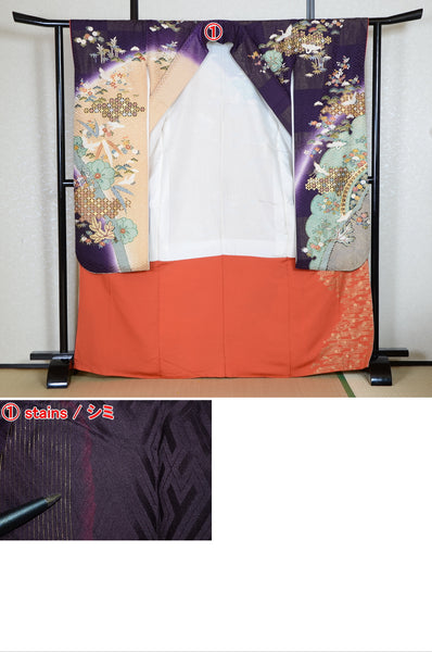 Long-sleeved kimono 6 items set / Furisode / FK#1-738