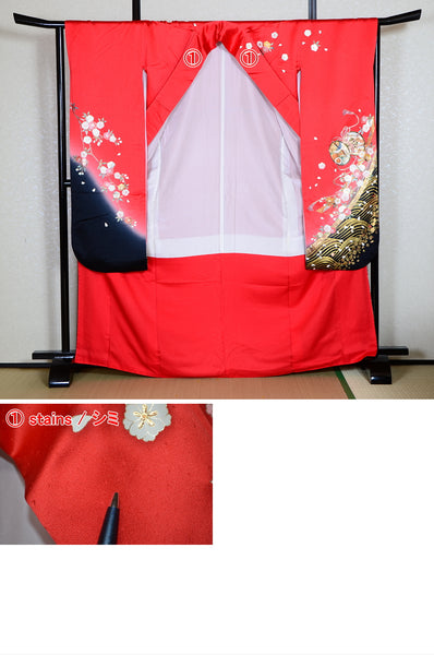 Long-sleeved kimono 6 items set / Furisode / FK#1182