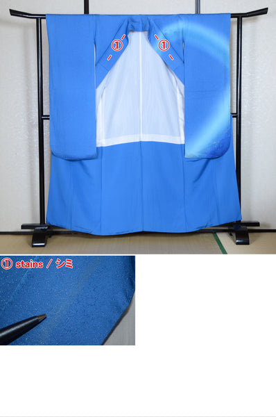 Long-sleeved kimono 6 items set / Furisode / FK#1-772
