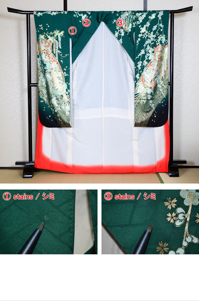 Long-sleeved kimono 6 items set / Furisode / FK#1-440