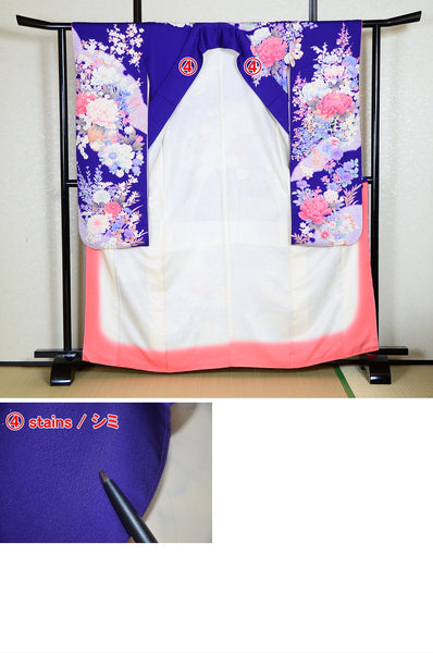Long-sleeved kimono 6 items set / Furisode / FK#1127