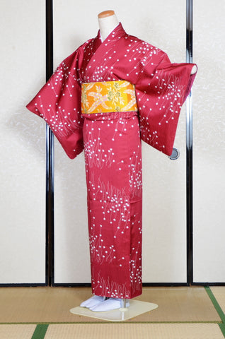 The first kimono set : FS #206