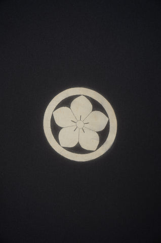 Men kimono. Japanese kimono for men. montsuki hakama. kimono jacket hakama set. kimono and jacket and hakama.