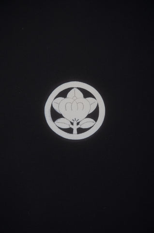 men kimono. Japanese kimono for men. montsuki hakama. kimono hakama set. kimono and hakama.