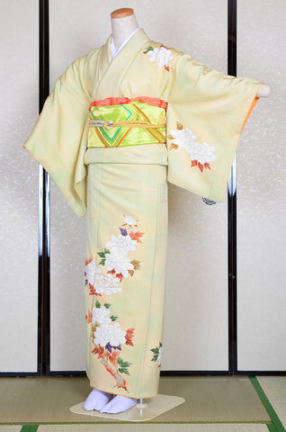 Japanese kimono 6 items set / TK #569
