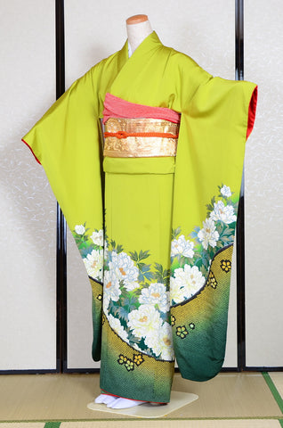 Long-sleeved kimono 6 items set / Furisode / FK#1042