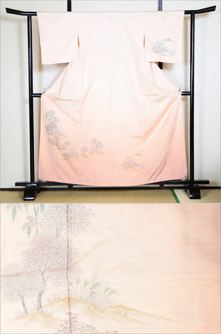 Japanese kimono / TK #1393