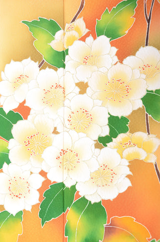 Japanese kimono 6 items set / TK #1308