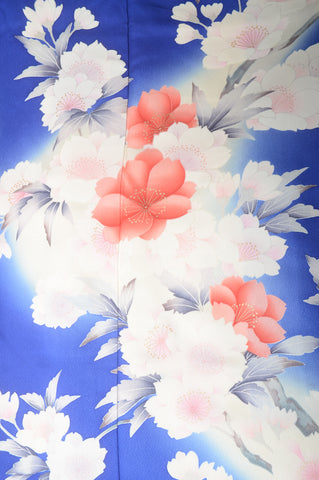 Long-sleeved kimono / Furisode / FK#1-281